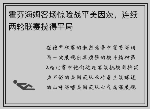 霍芬海姆客场惊险战平美因茨，连续两轮联赛揽得平局